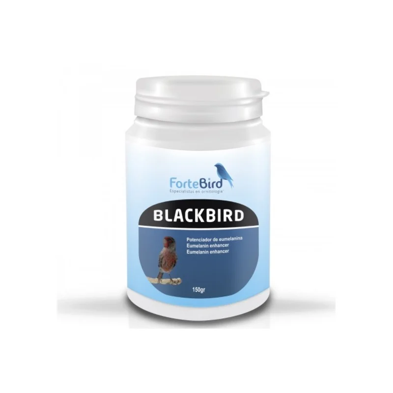 Blackbird Fortebird 150 Gr - Oxidación